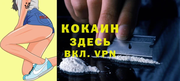 стафф Алексин