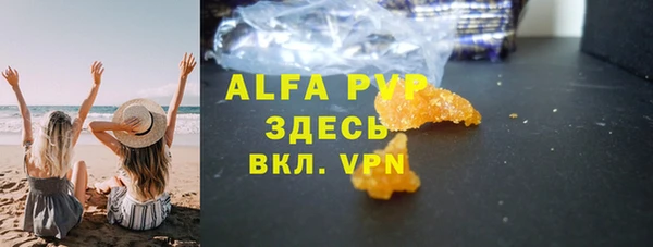 стафф Алексин
