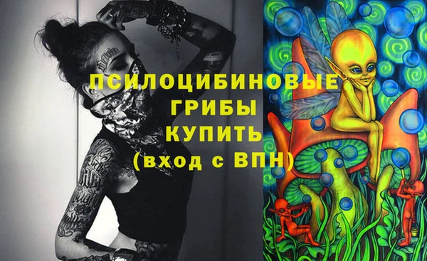 стафф Алексин