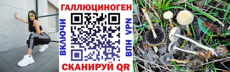 Псилоцибиновые грибы Magic Shrooms  Медынь 